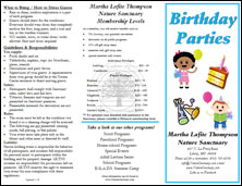 Birthday Party brochure
