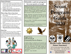 Scouts brochure thumbnail art