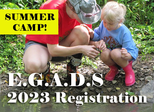 EGADS Summer Camp 2023
