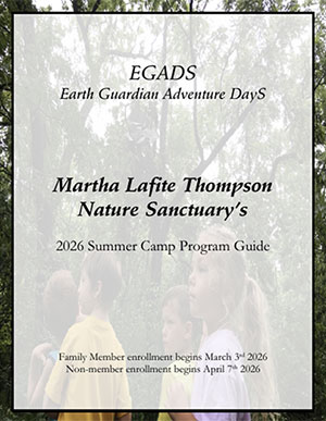 MLTNS Summer Camp Program Guide Cover