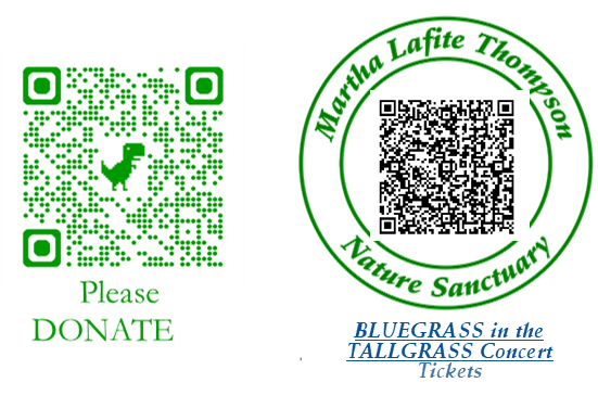 Donation QR Codes