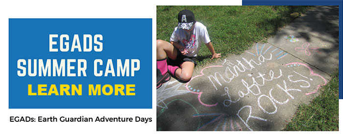 EGADS Summer Camp home page ad